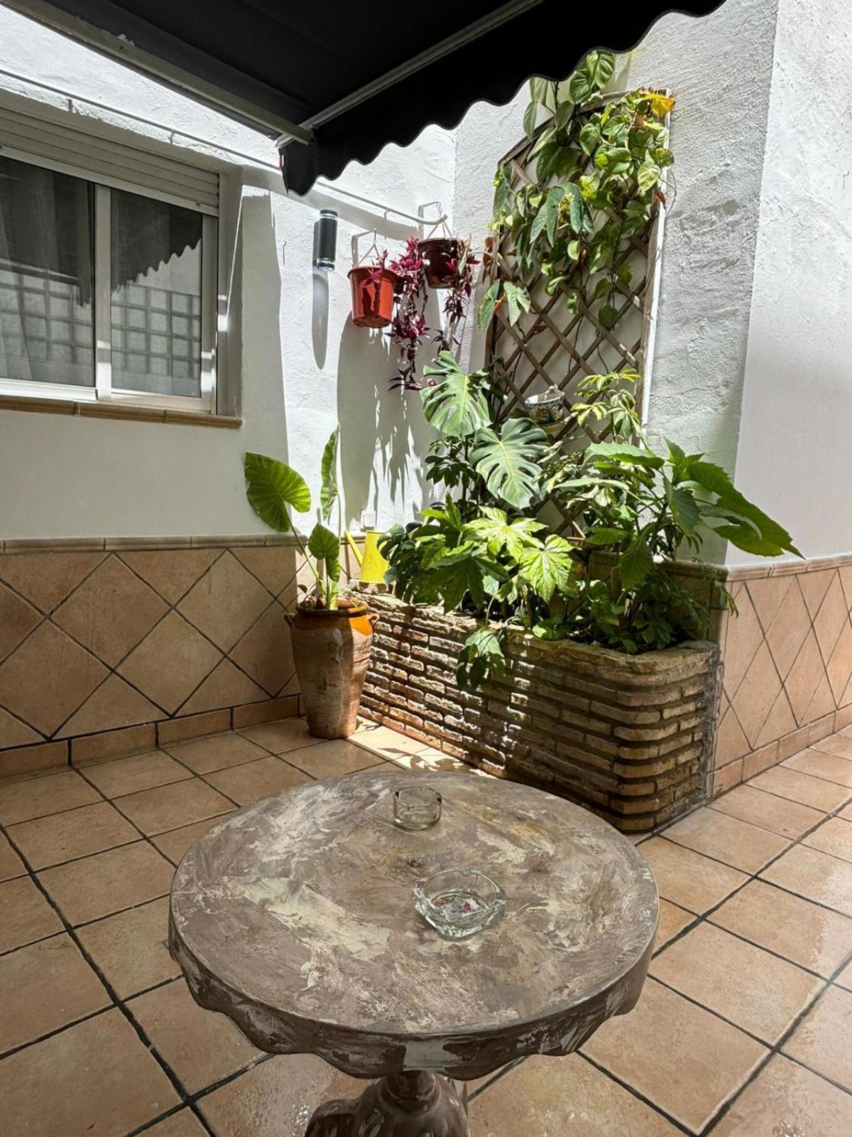 Panther Home Pureza Séville Extérieur photo